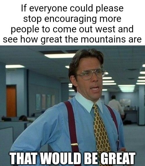 83v466.jpg
