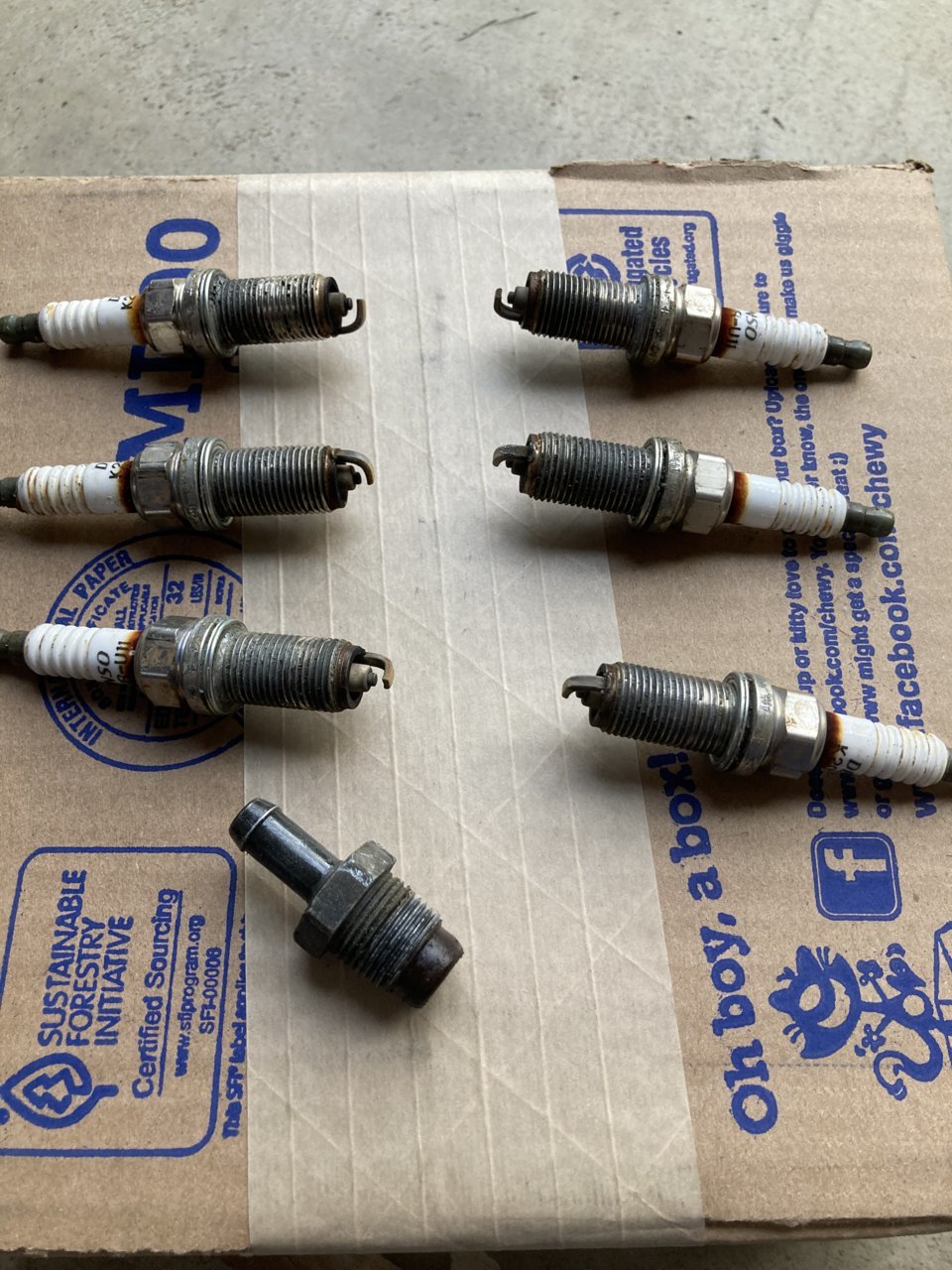 8410BCBD-A26E-4822-ACEB-A6E1F1B3AEBC.jpg