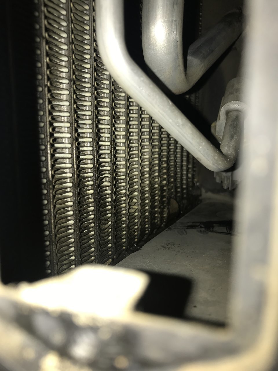 84314DD5-9262-46DA-9EFC-5E754CFFF570.jpg