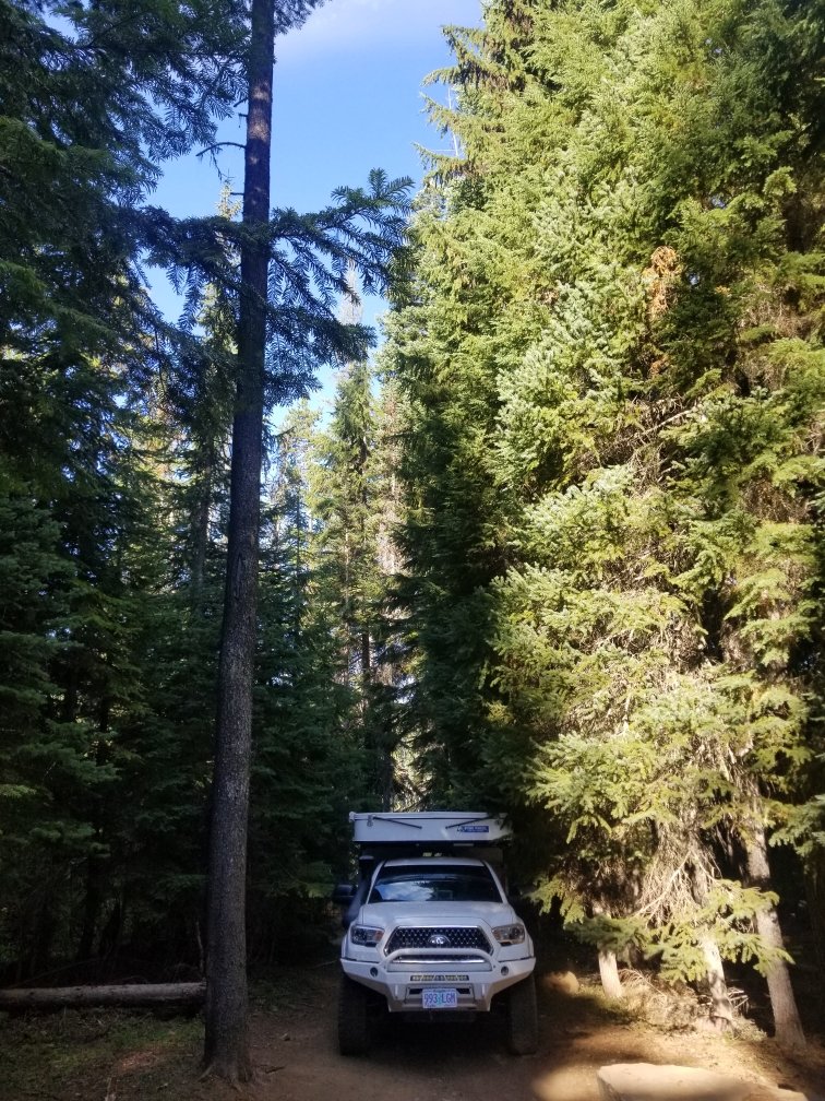 847E0AEF-218F-4EF8-89EE-5E6C57E943D6.jpg