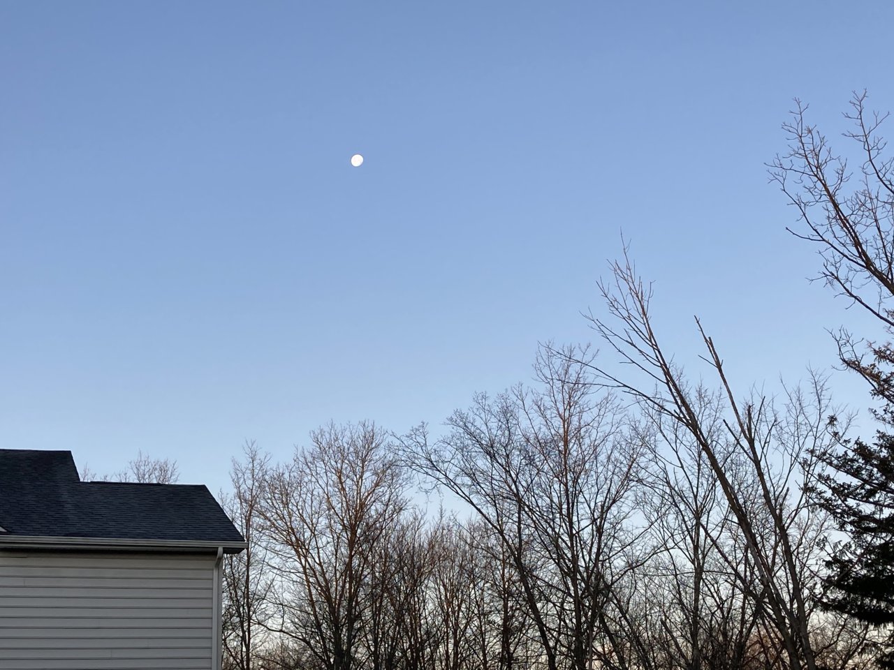 84F75DF1-F14C-4BE6-9AE0-955C685C62F1.jpg