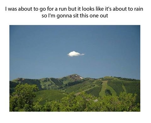85016751.jpg