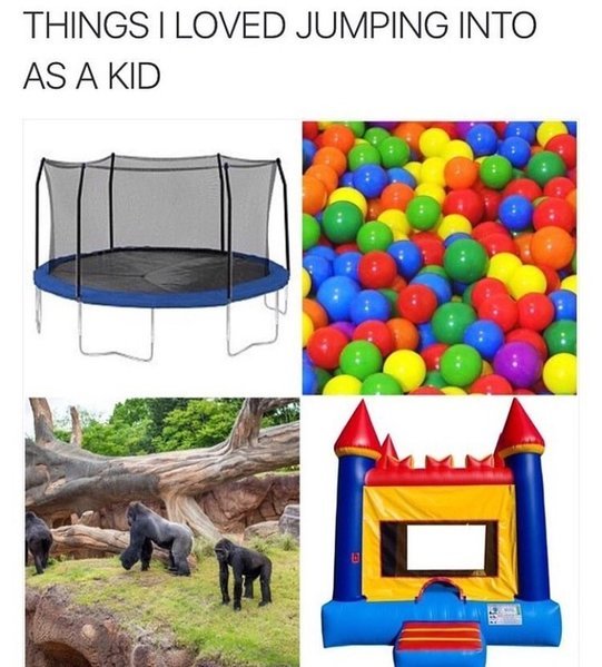 85042469.jpg