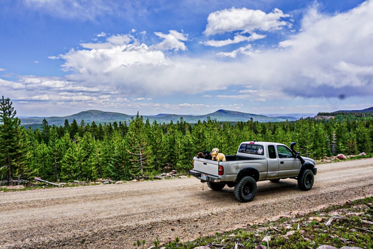 853BEAA0-FBE2-4C91-A90E-1CAA50085C45.jpg