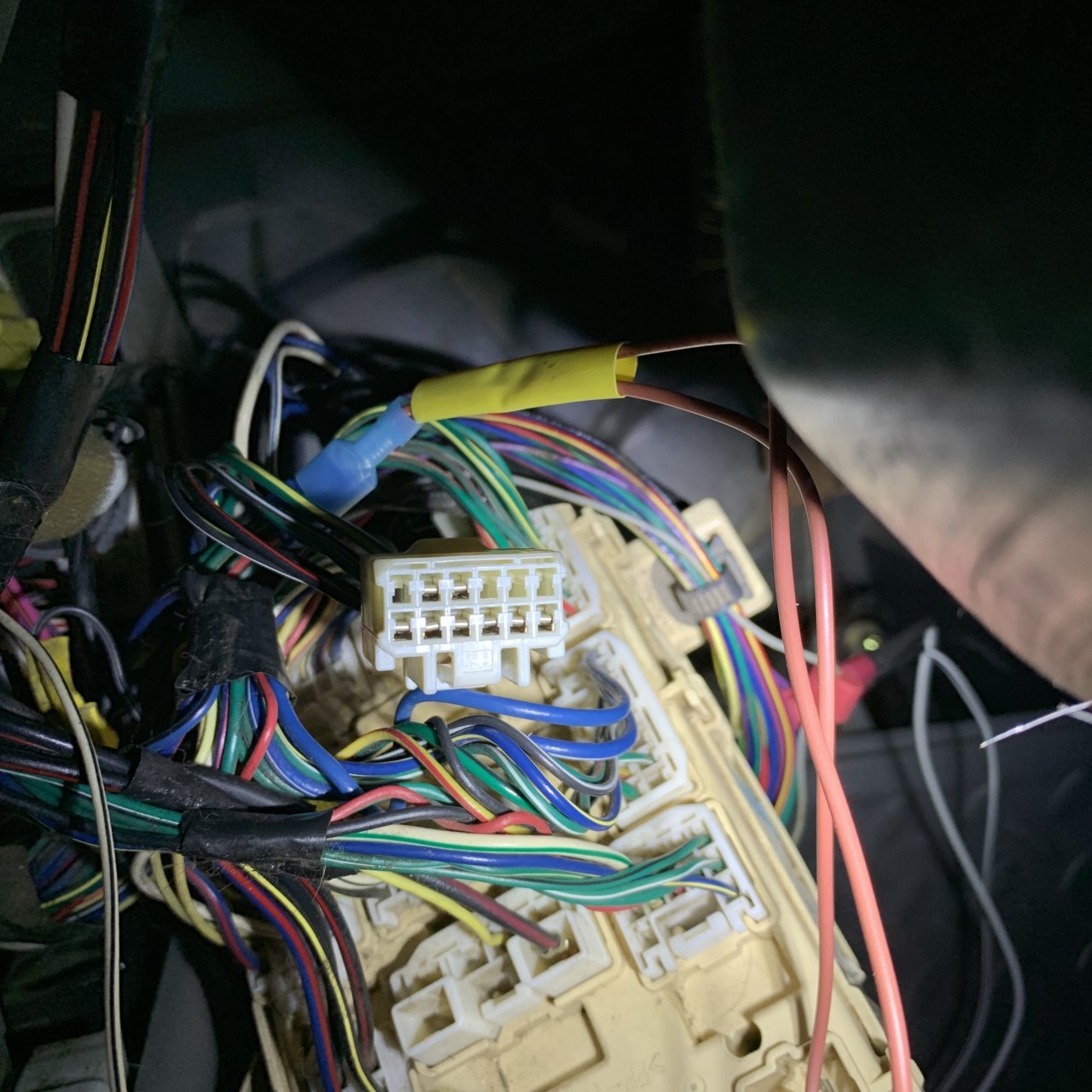 853FCE9B-4969-4ECA-B67E-216BD6372E72.jpg
