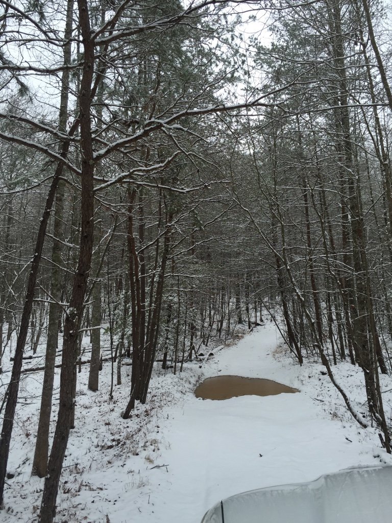 854623c4c8ae7bb8e428088dcae3cd83_201e69873767f49cb4dd3d090e38f87b547ff89b.jpg
