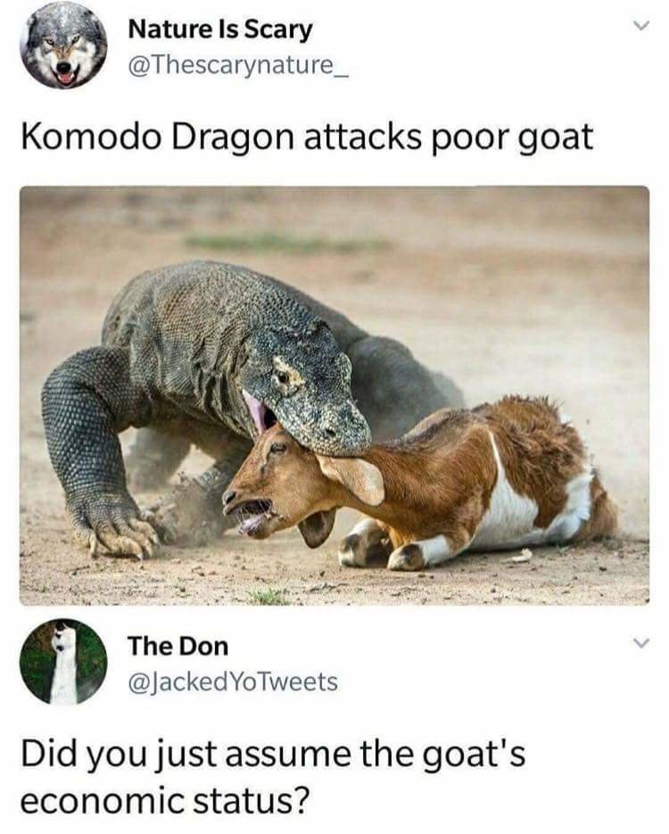 85547349.jpg