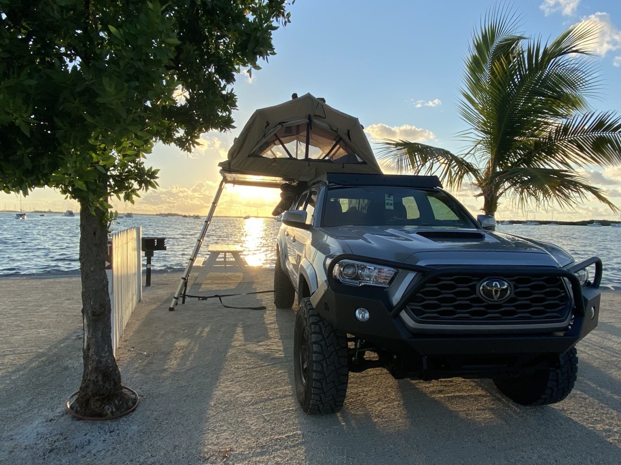 Pioneer Telescoping Ladder - Cascadia Vehicle Tents