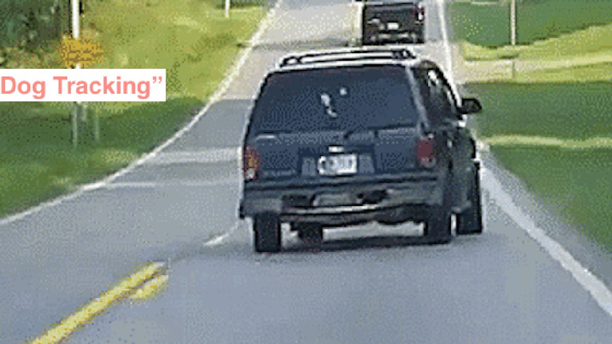 85ACB4D7-B6E0-4639-A432-5FC46C29F348.gif