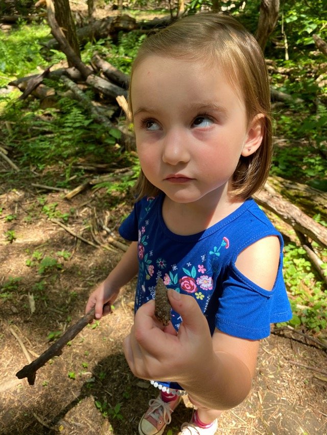 85B045B0-C1F2-4F38-B675-16D1FE39D49A.jpg