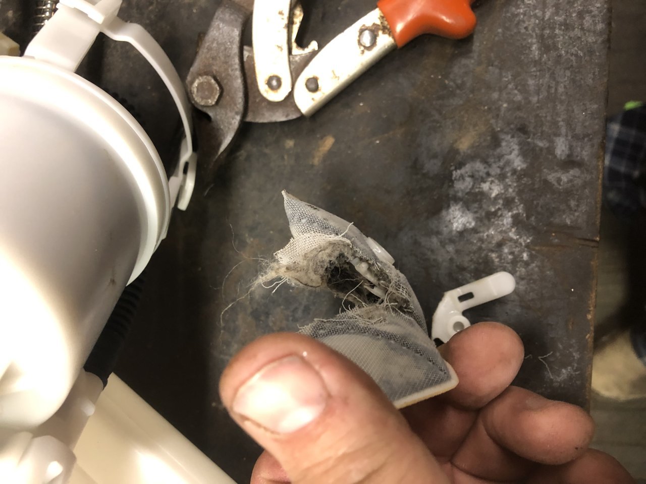 85D65D34-AD08-46EC-9E9B-65262AB99AC3.jpg