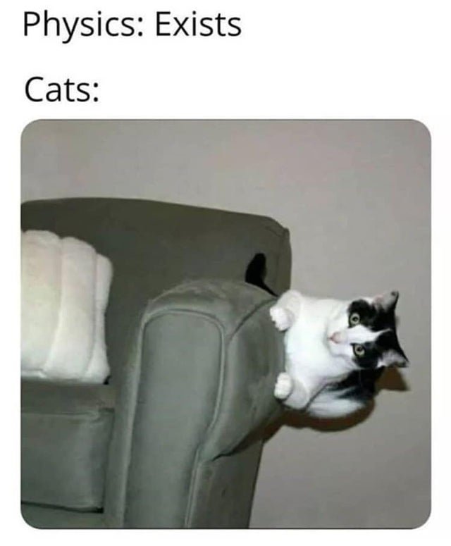 86200047.jpg