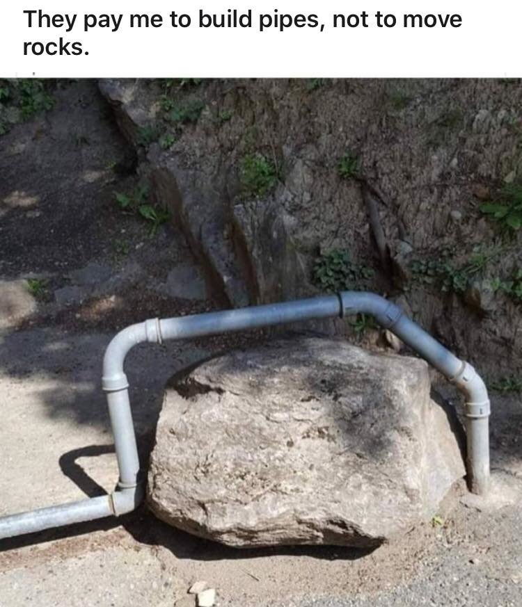 86278072.jpg