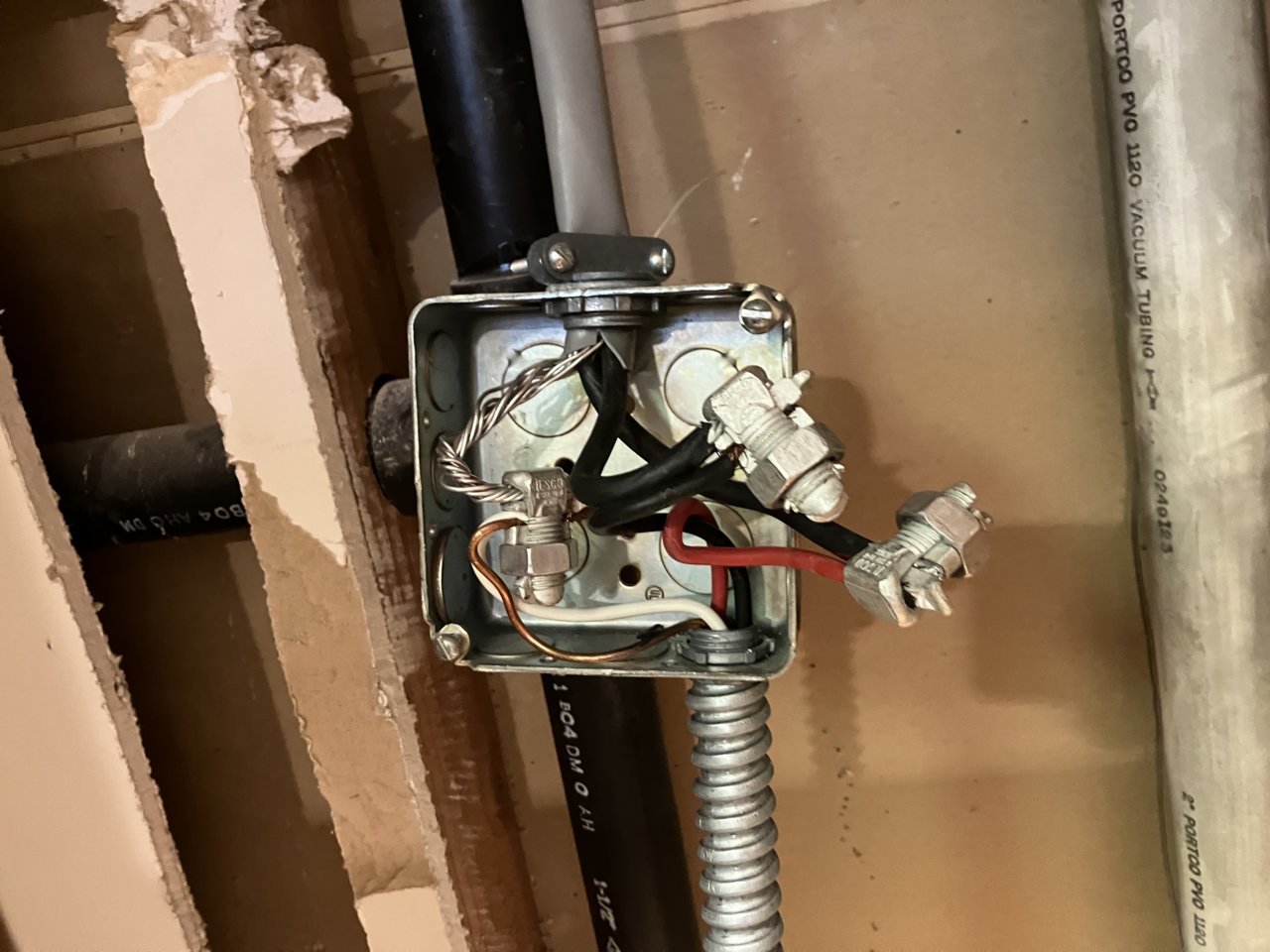 8696E204-8BA9-4ACE-8FE5-92E88FFA34C9.jpg