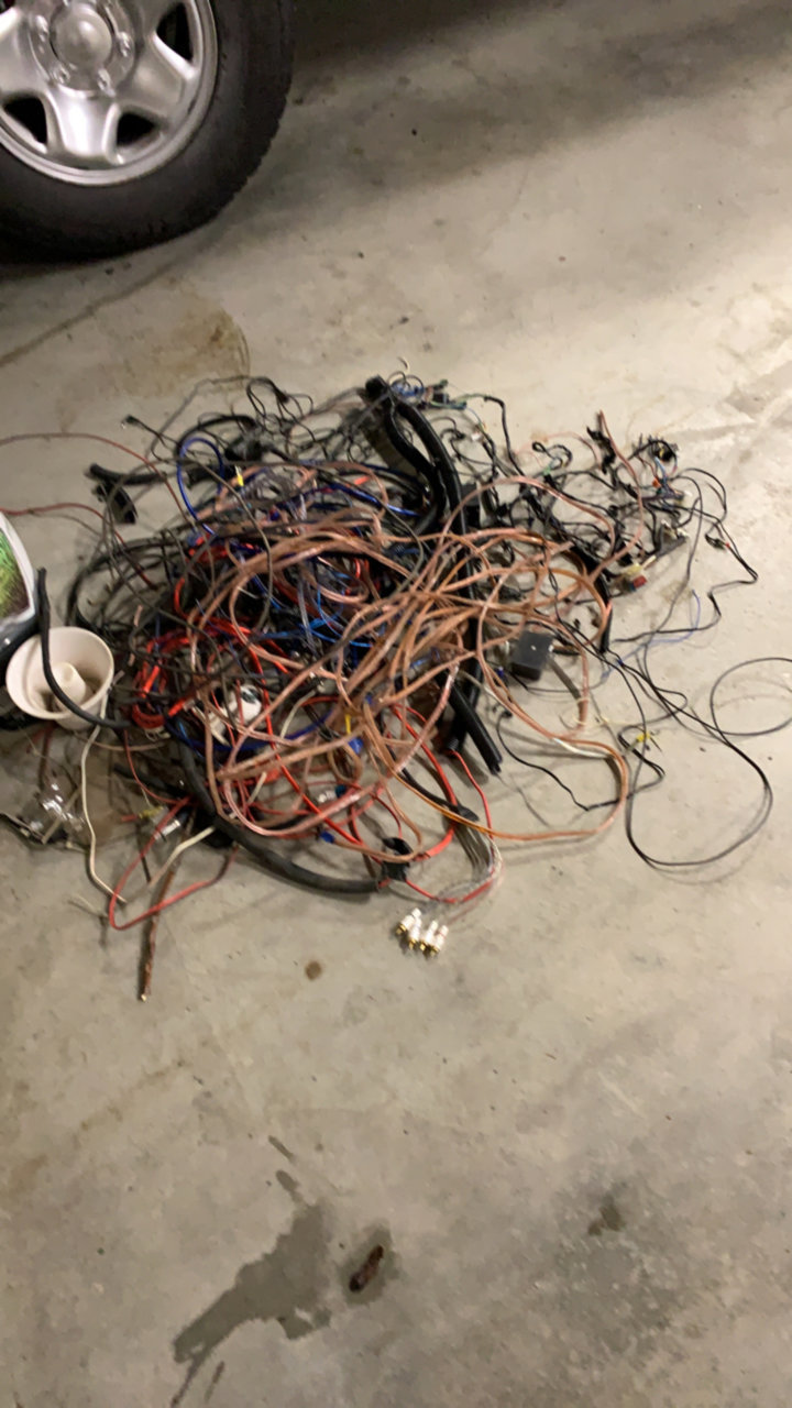 86DEA928-ADBE-4416-B7E8-A30796E4ECE7.jpg