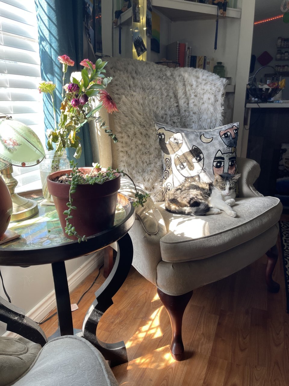 86F32F61-5BF7-41D2-9B9F-C52C908DE31F.jpg