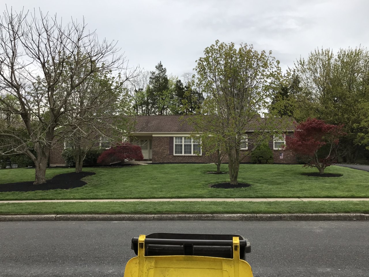 87507AC7-25D9-426A-89AF-F5AAB9AB98BD.jpg