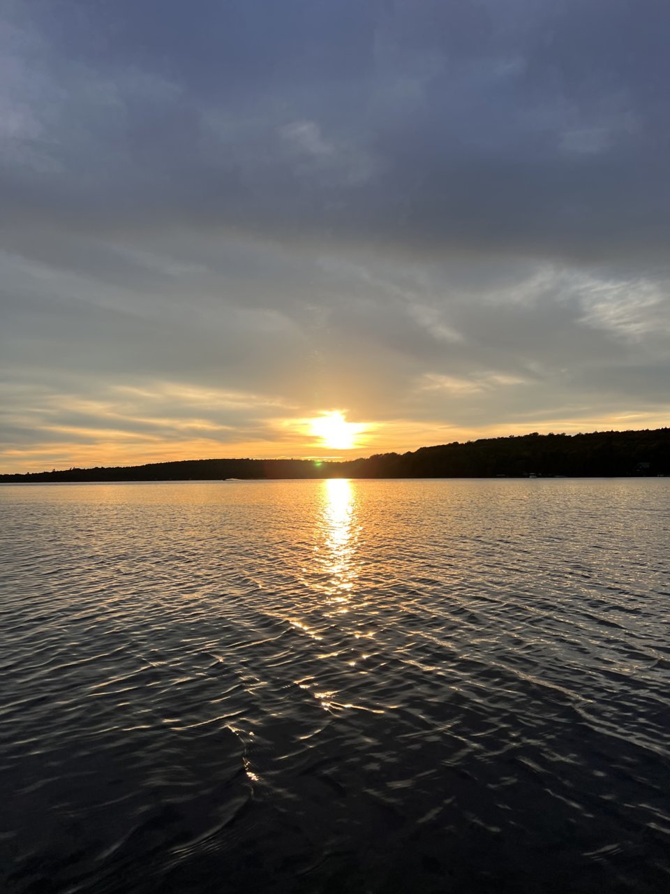 878898BF-F8FD-42F0-A5F6-792BA16CD319.jpg