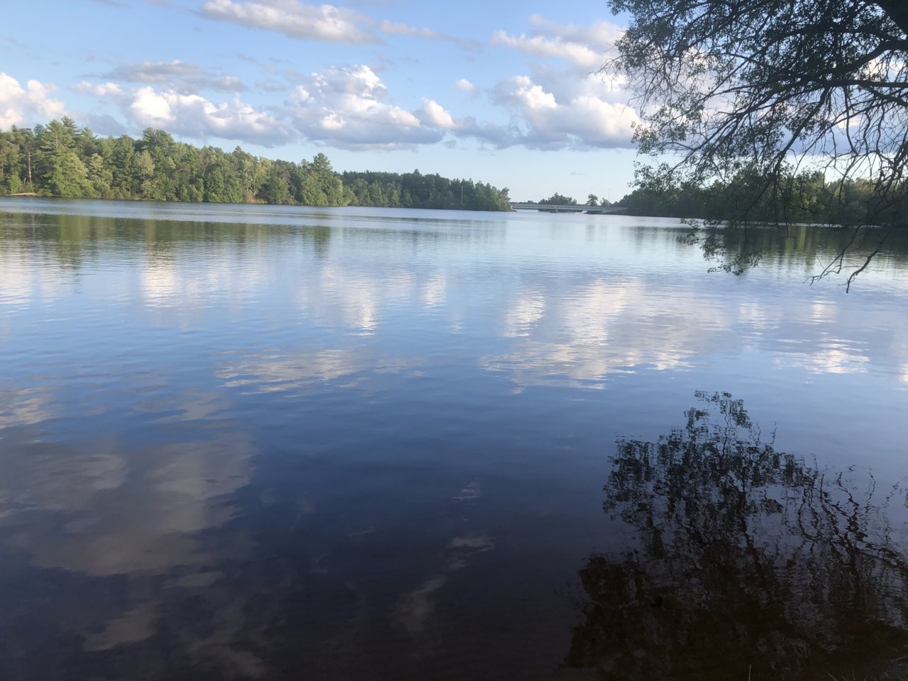87A8EBBA-FA94-4396-9757-DADB7610F2E7.jpg
