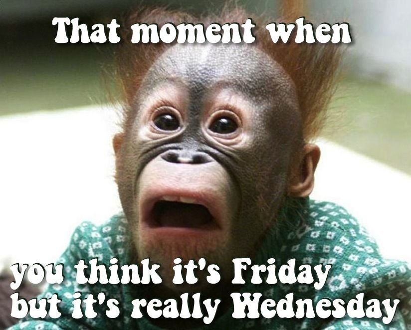 88131-Its-Only-Wednesday.jpg