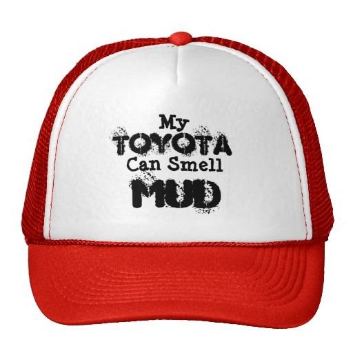 88271f786de4d446d1dc599e2cc55e43--mesh-hats-hats-online.jpg
