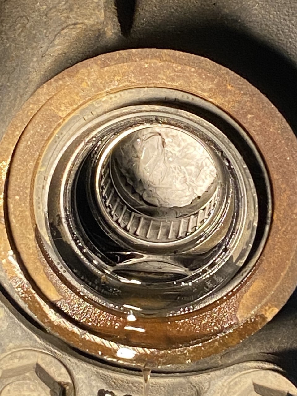 882E0D89-C6AD-4B51-B722-6C70D20F3AE5.jpg