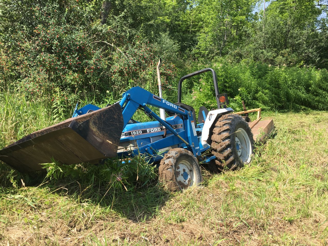 88606E5E-DAF2-4278-8AC3-FEF529A44A88.jpg