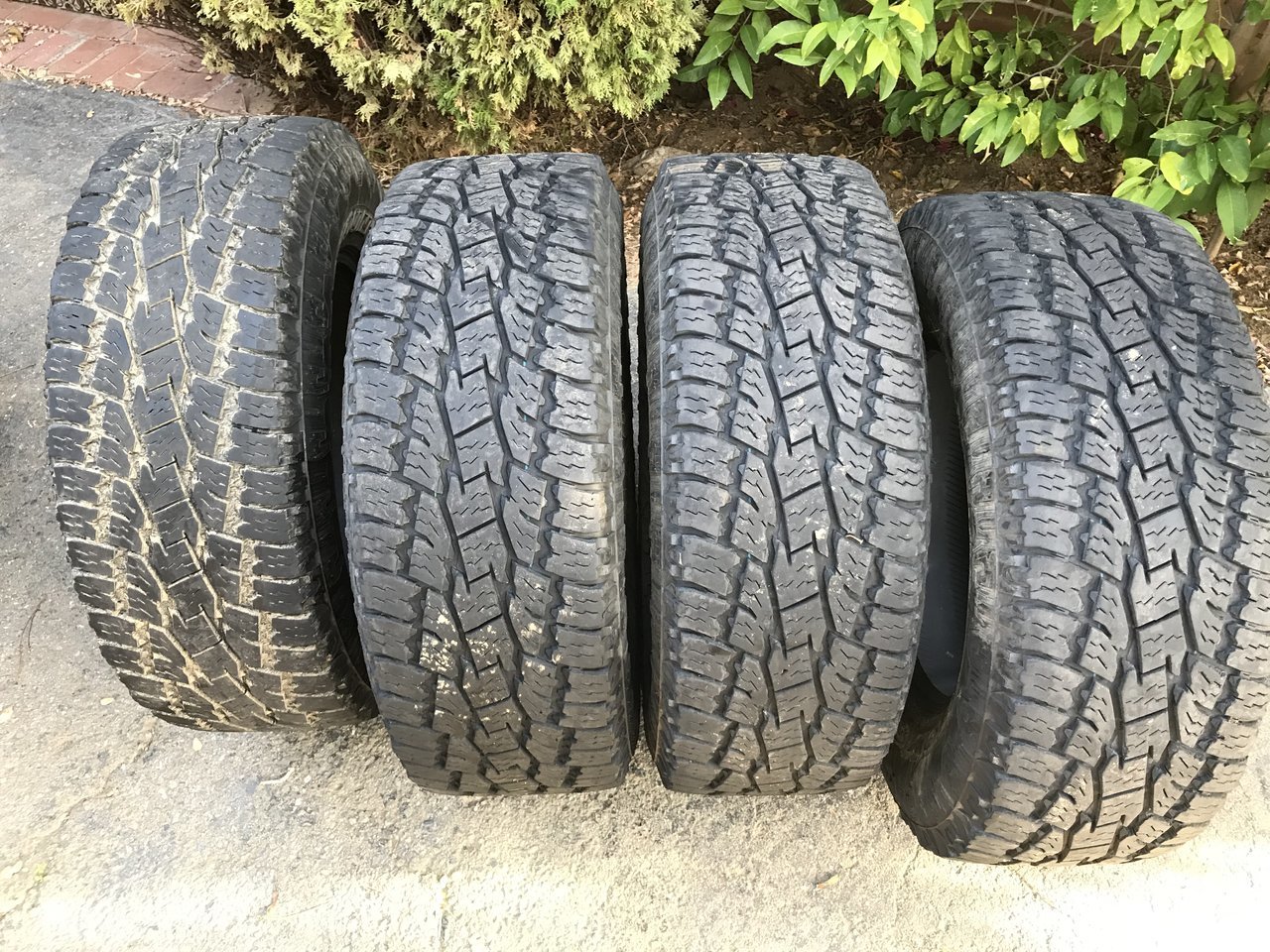 888FF15B-5CC1-4E86-B6DD-295B34EBBF46.jpg