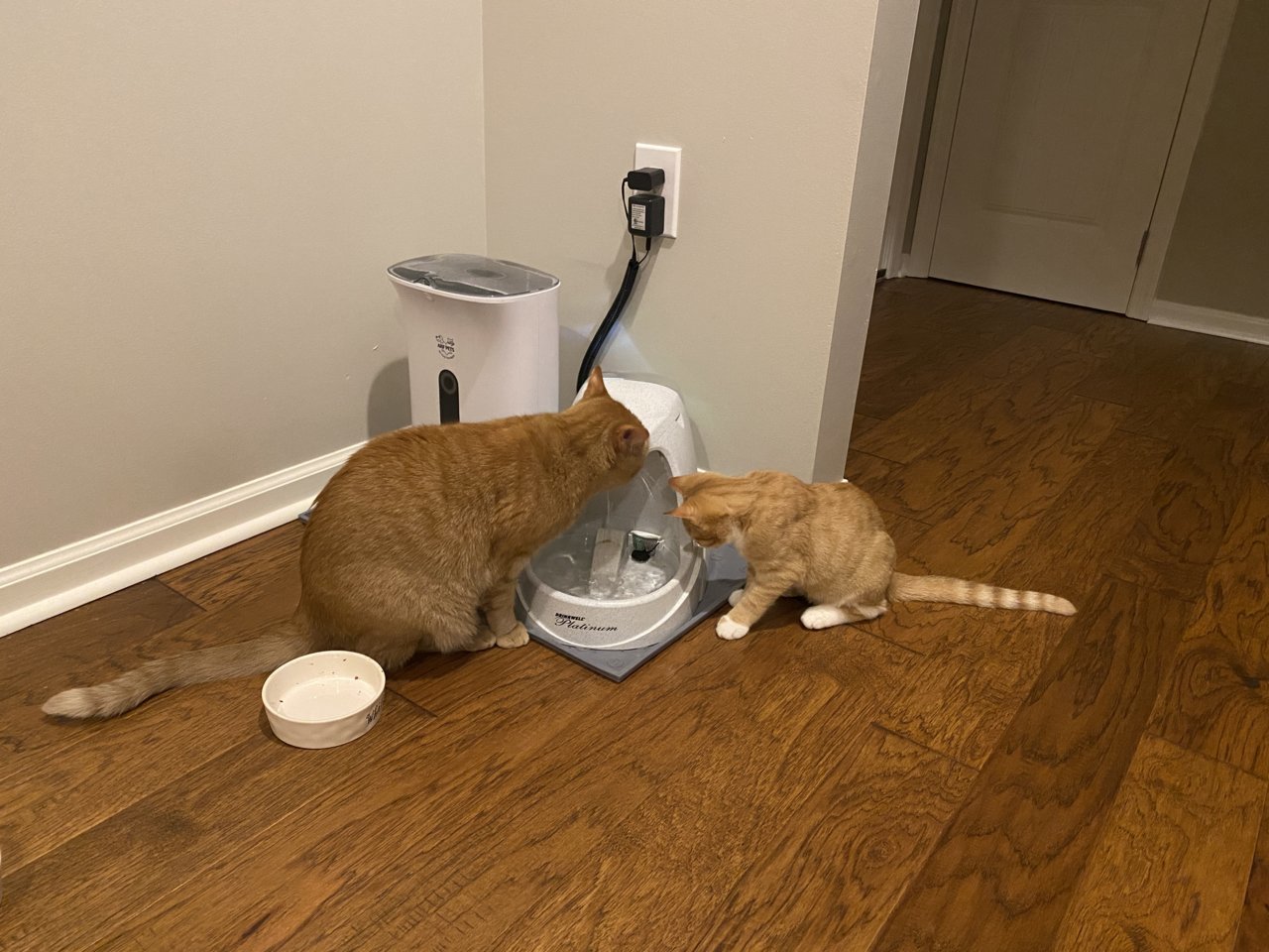 88E8C524-C1D6-40BB-8C24-C64F36FE362F.jpg