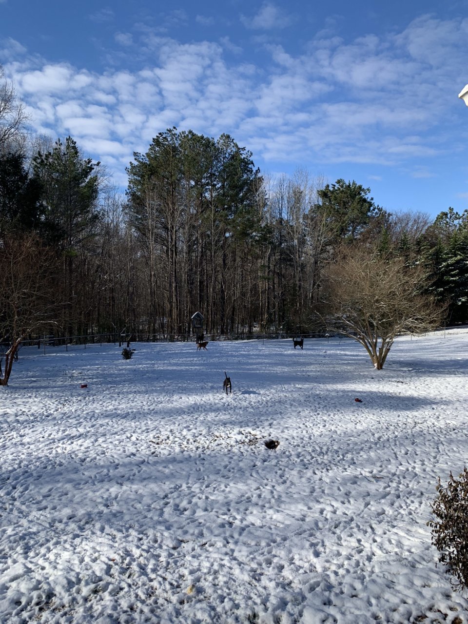 88EEA92E-ED25-4A0E-B116-35102CA792E0.jpg