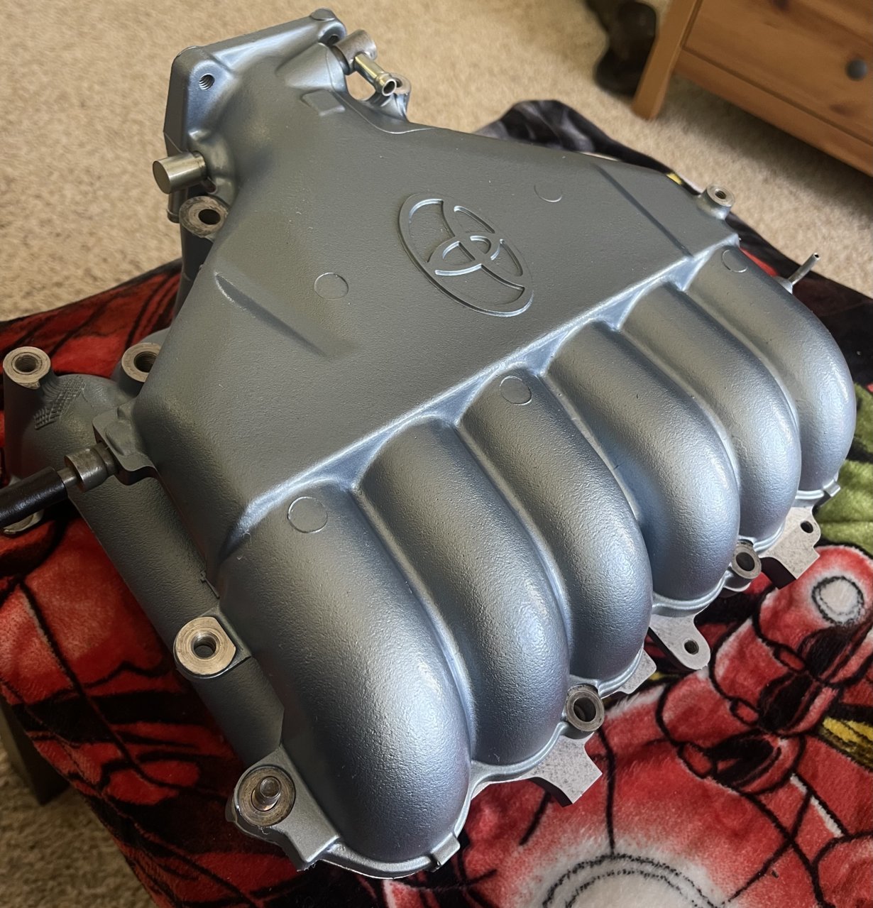 8942D557-8AA2-474A-99F0-634273DAF3EC.jpg