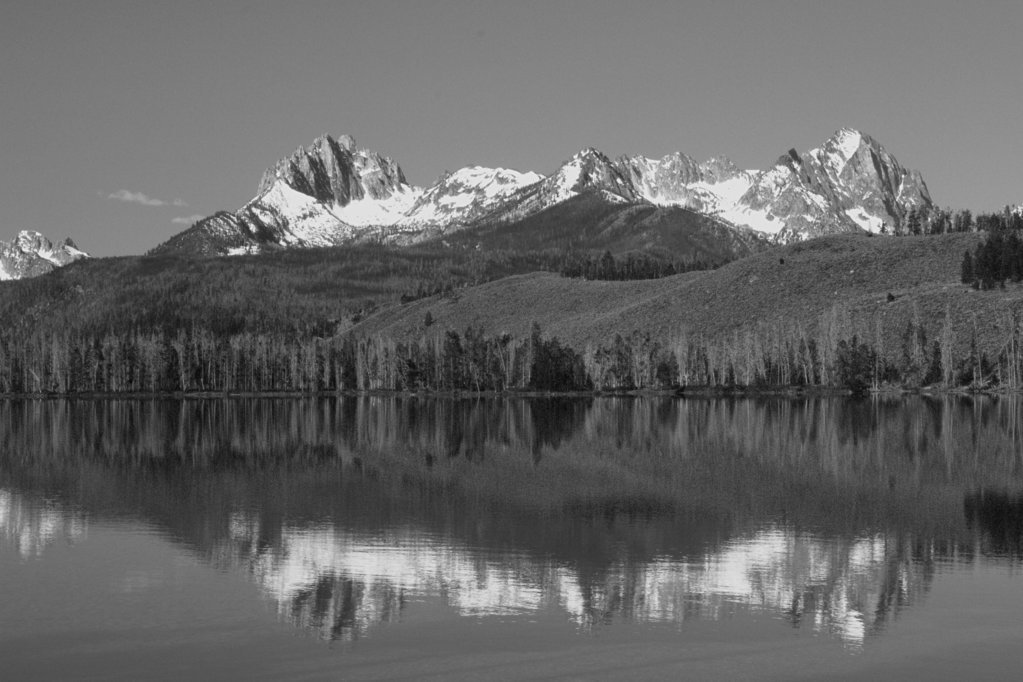 8947bw.jpg