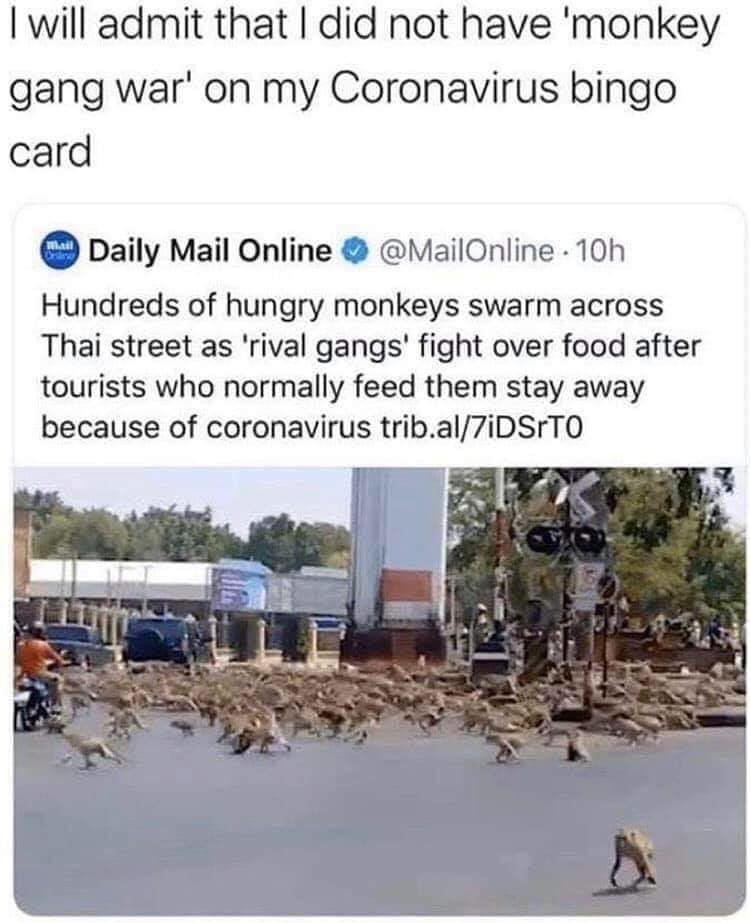 89544531_2761852833867998_6278036464877961216_n.jpg