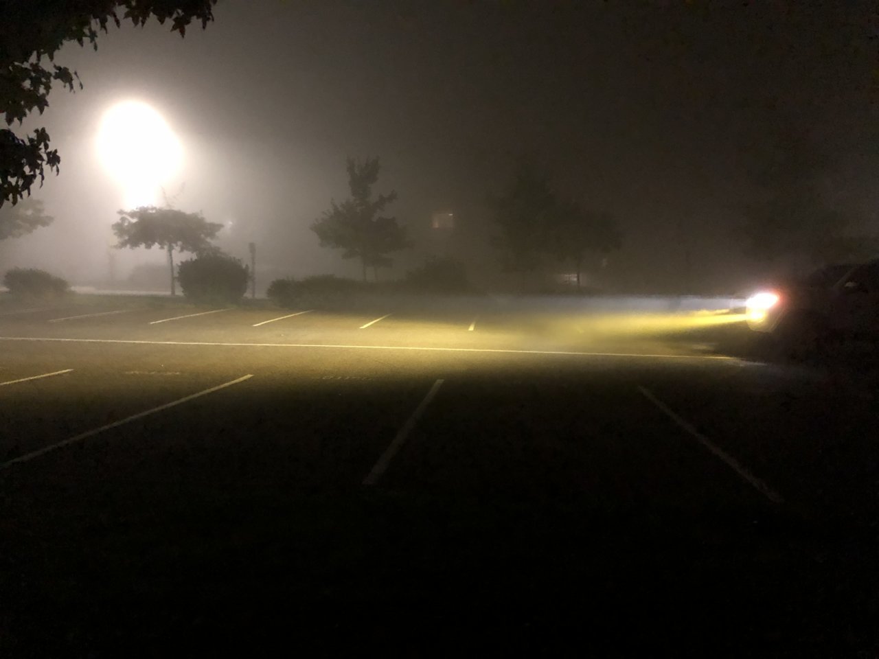 8960B511-8E30-4124-851F-BEF34E42965B.jpg