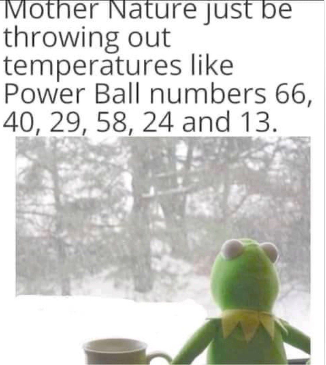 8987.jpg