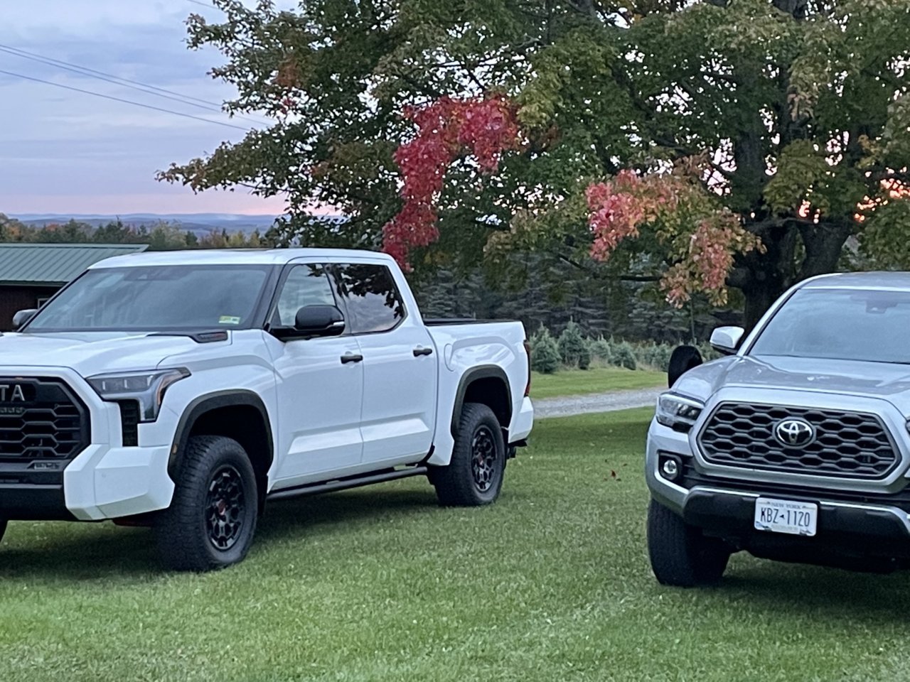 new tacoma trd pro