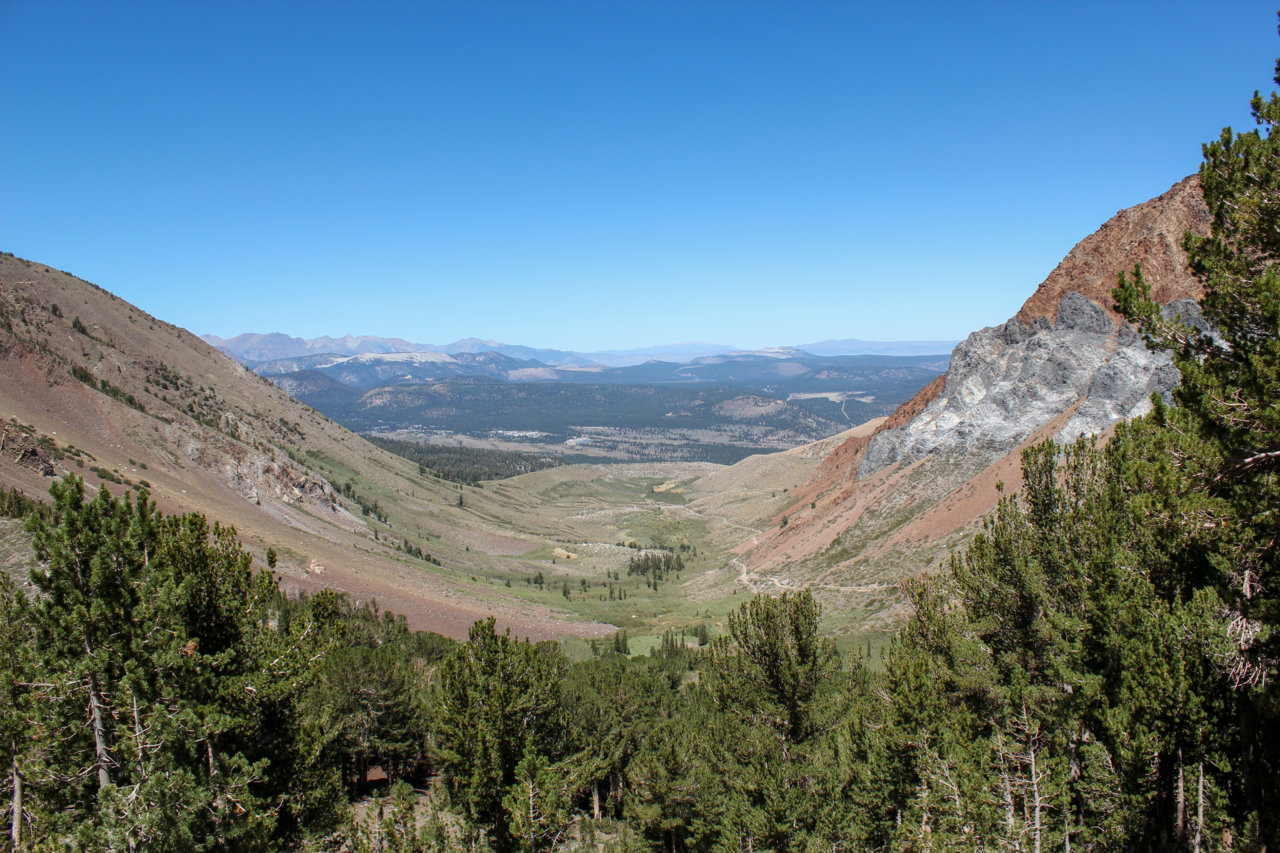 89A13D7E-81A6-4676-B6C2-D2488BF481AD.jpg