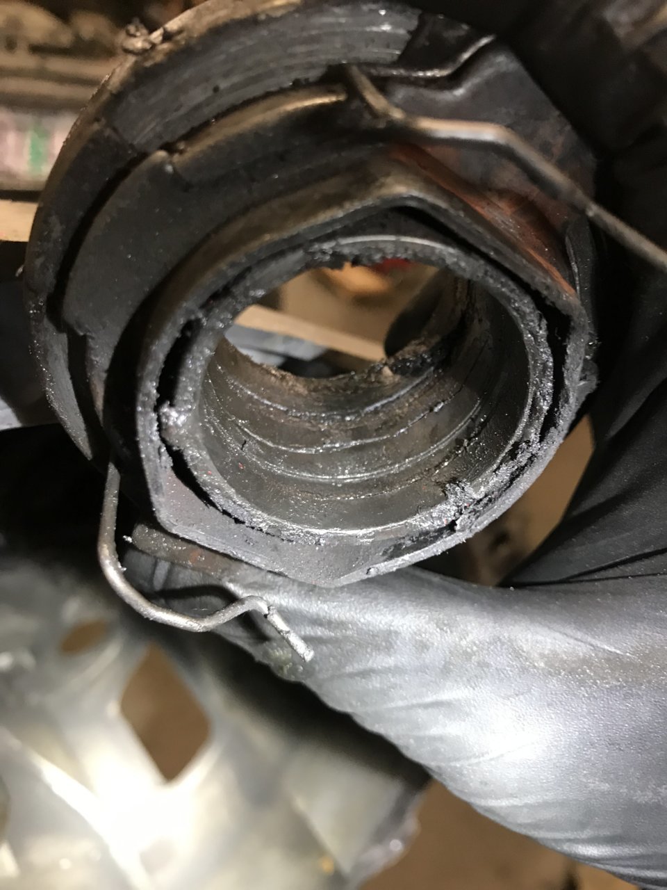 8A1E21EF-B7CF-48C7-B4CA-411F0C18B2AE.jpg