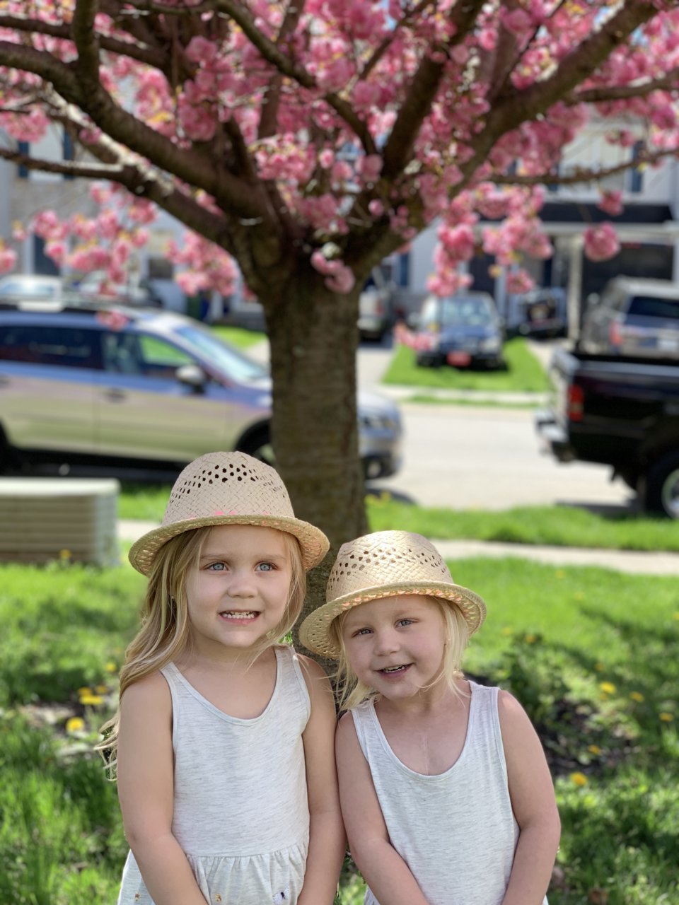 8A635A08-42DA-4F93-865F-EEECB613C5F3.jpg