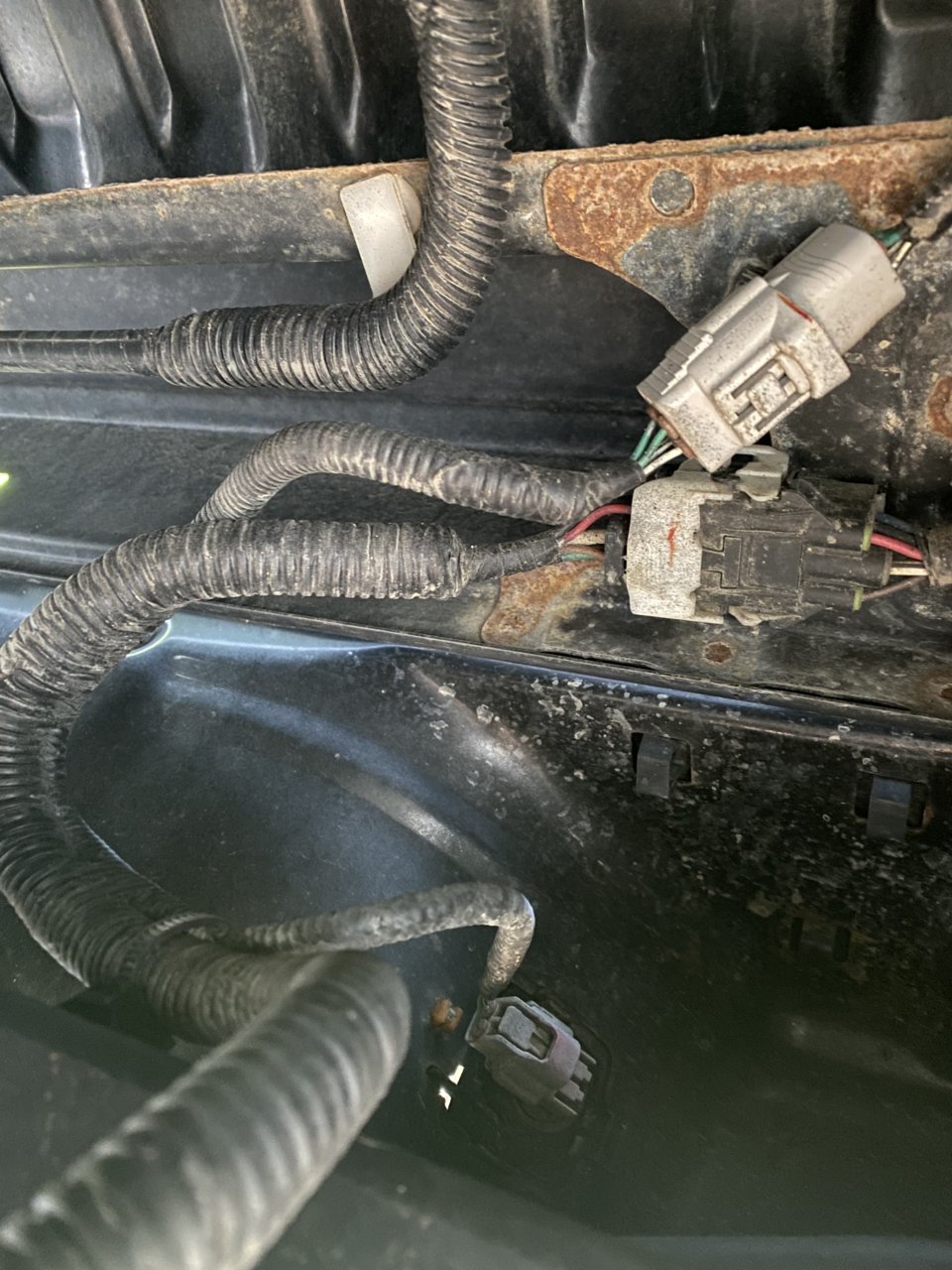 8A91D0F9-121D-4029-AB68-A3A1CECF49C1.jpg