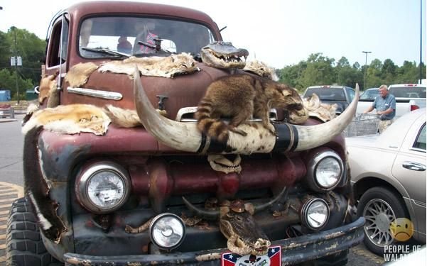 Bull horn on sale for truck