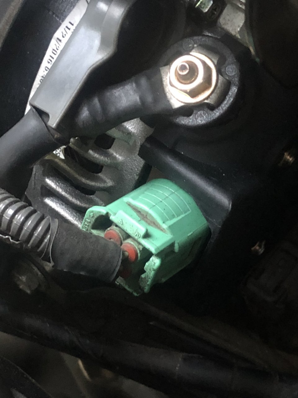 8AFF04EB-E84B-4A9B-80CC-725DB0200028.jpg