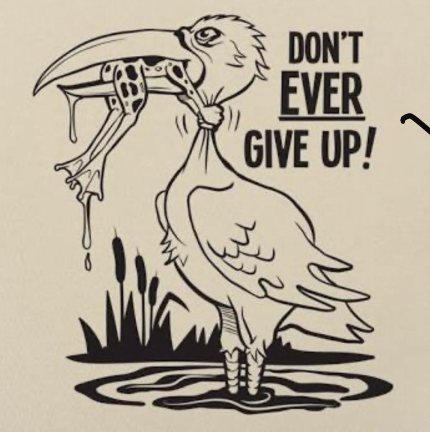 8B3C82BA-6C6F-4477-BA8B-ED253BCC7A2C.jpg