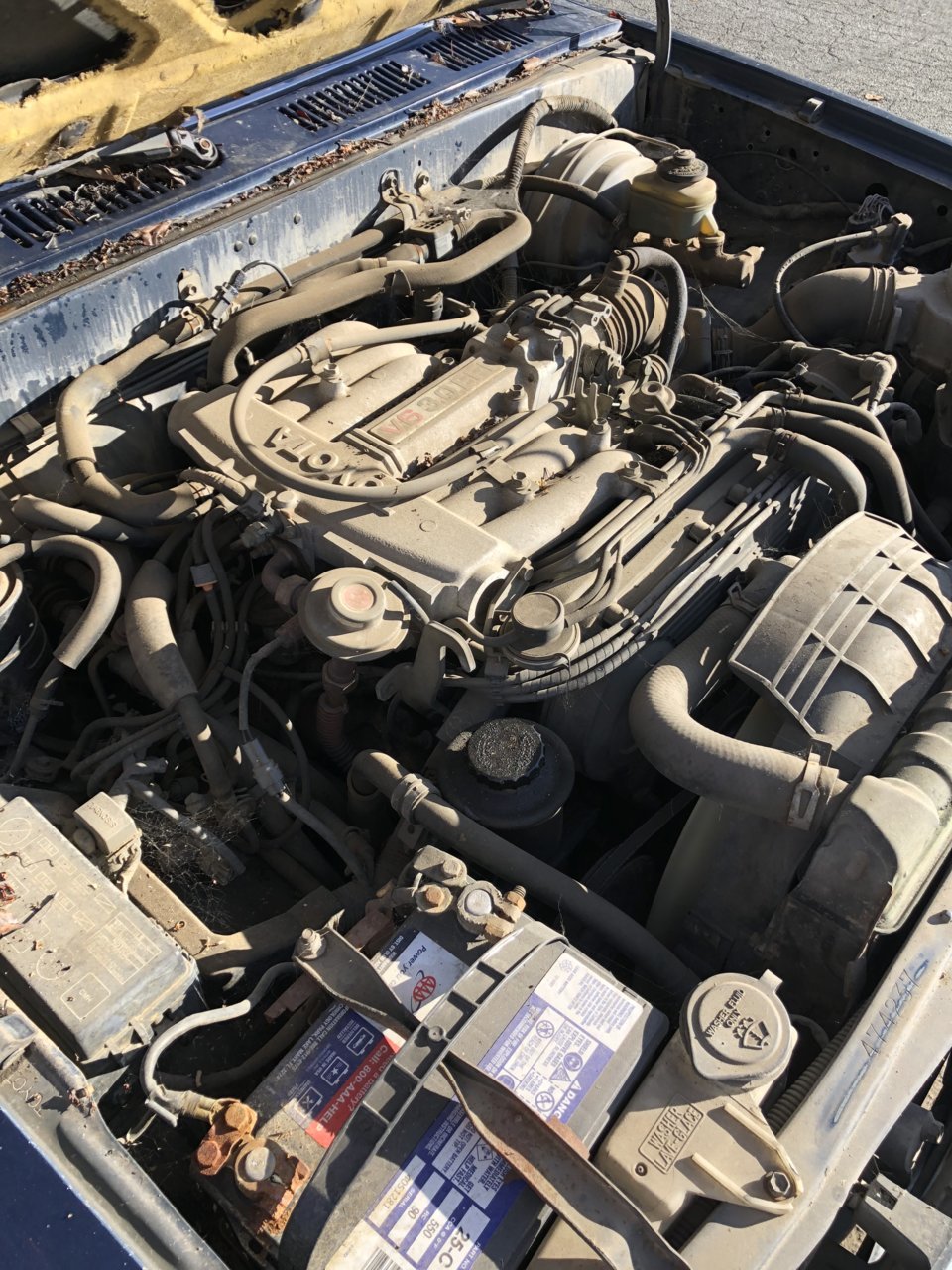 8B7EA358-18E3-4F59-9488-ABD0F9EEDDEB.jpg