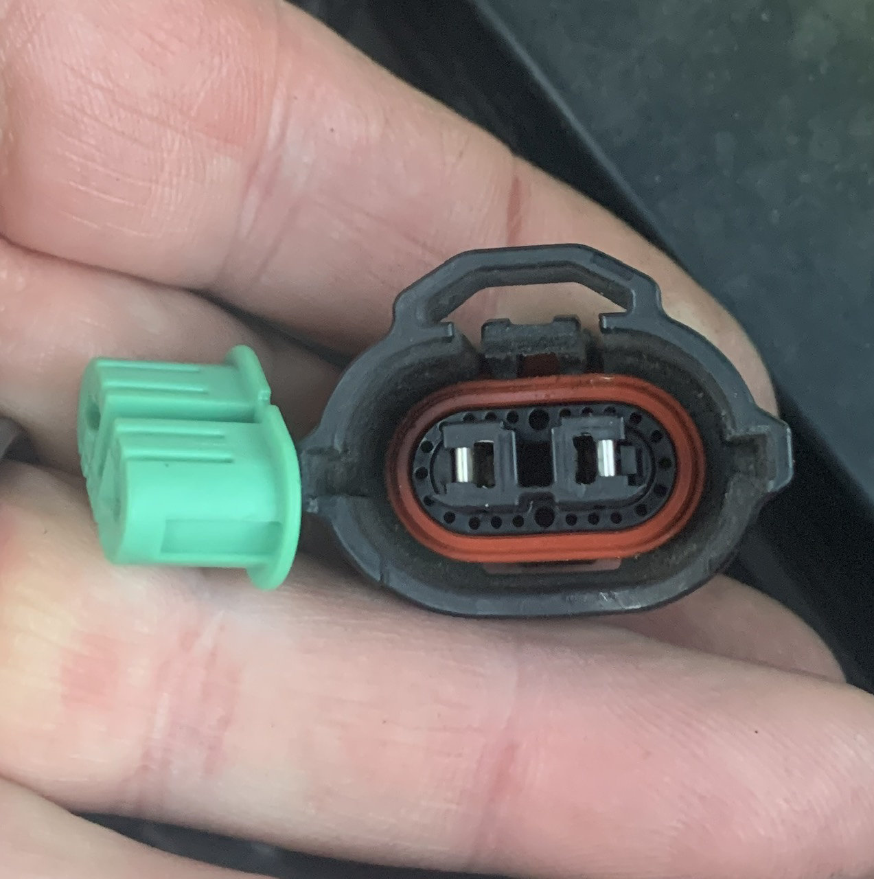 8BA66C75-88FA-4722-8CFA-79F396A78A70.jpg