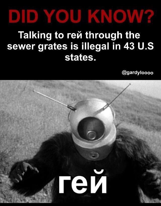 8BD8F496-D782-48E0-9E0D-21654F3B134D.jpg
