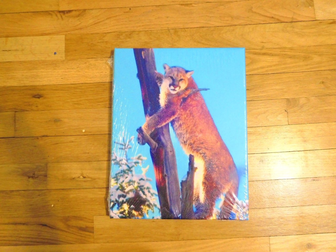 8C0AE448-77C1-44EC-A158-F8A36ECA78BD.jpg