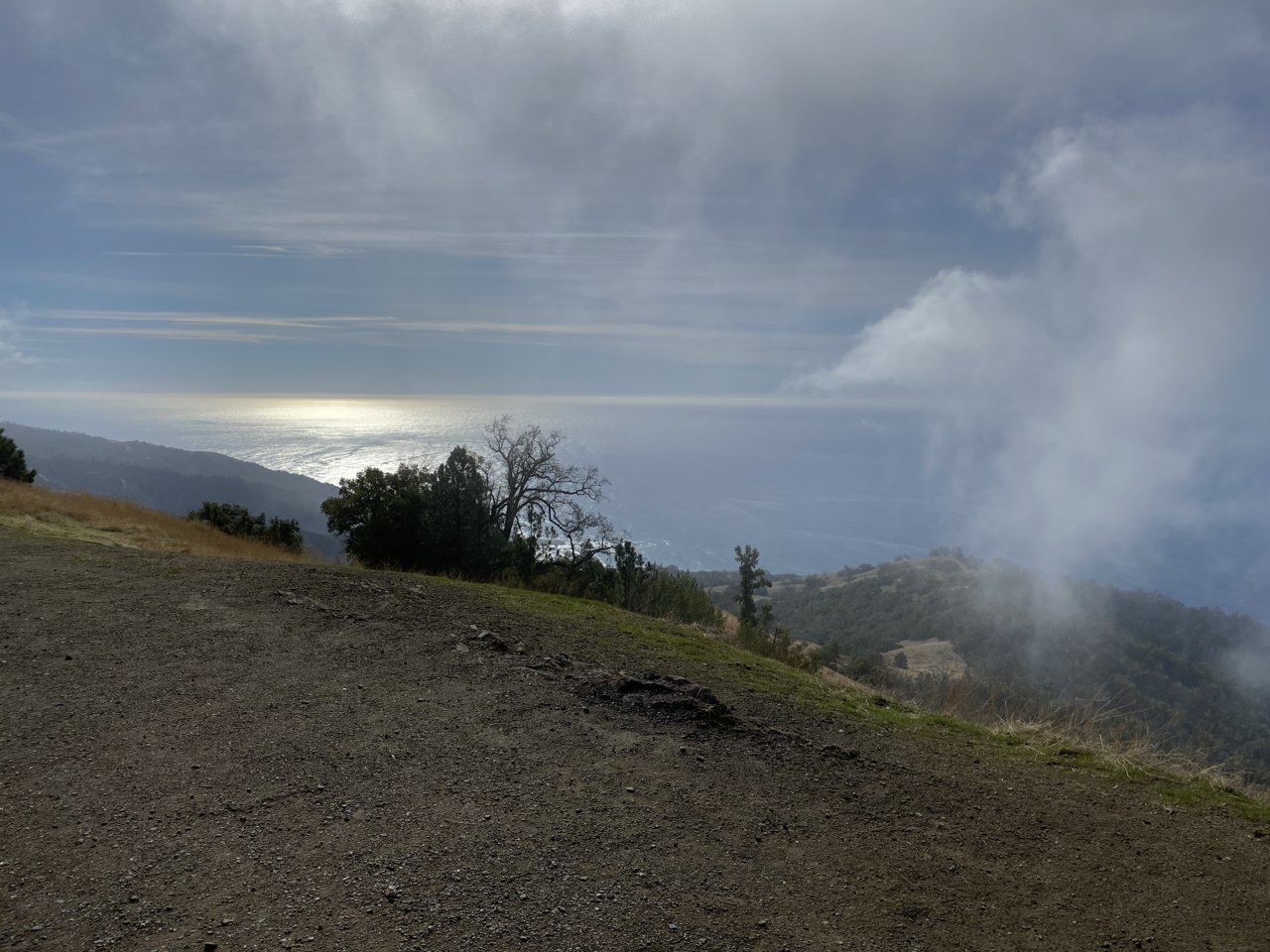 8C2D2EB1-5892-4B0B-8B16-74105F5BC325.jpg