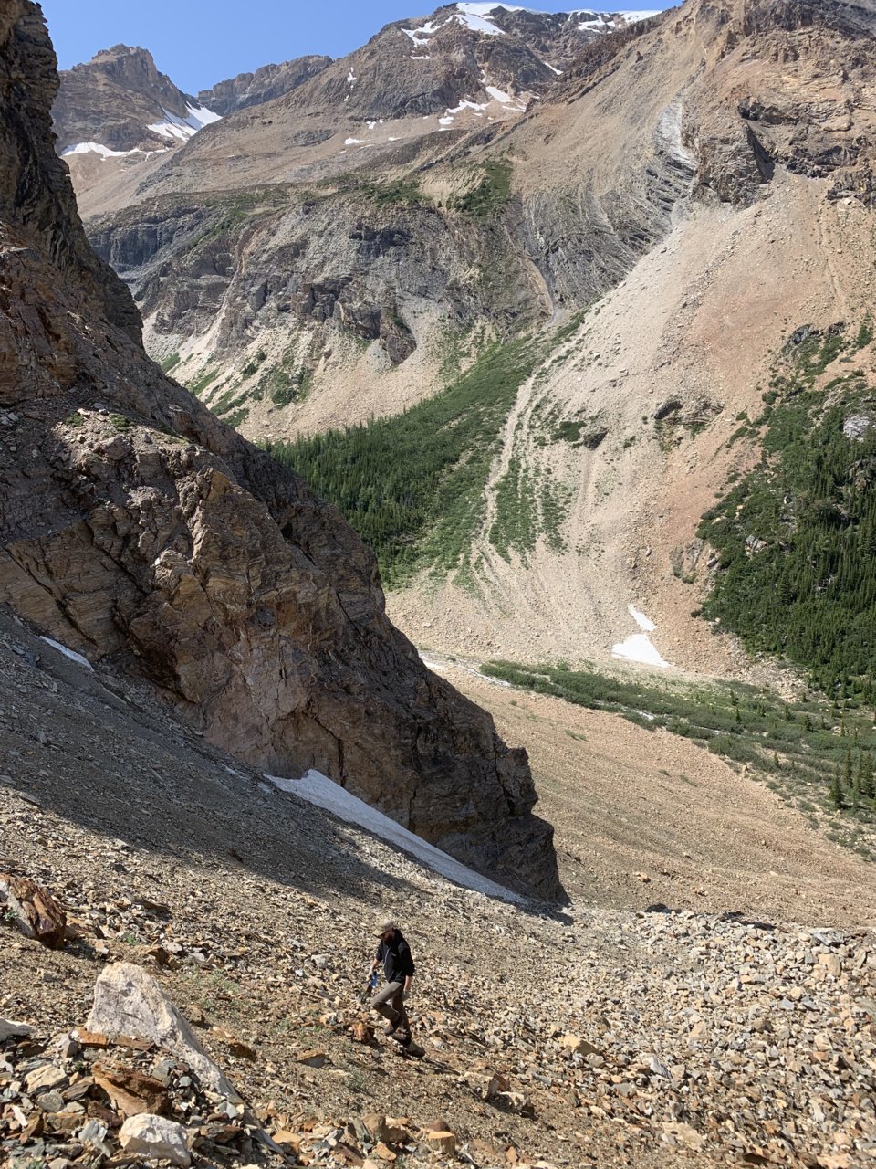 8C5D4E17-D4AF-48DC-9FF6-96D3166085E6.jpg