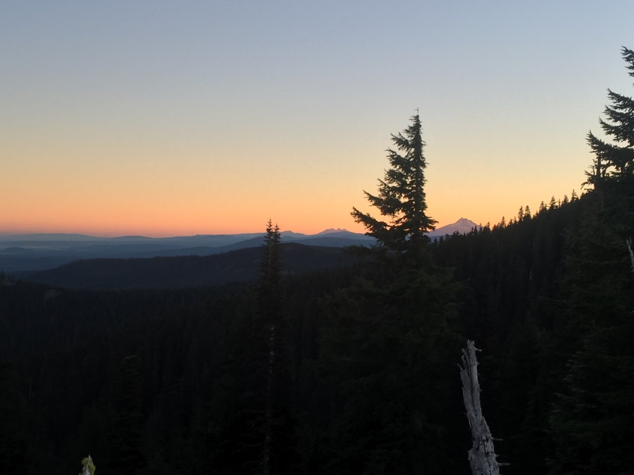 8C603C52-7F4F-4081-BA8D-6C8160E55C4C.jpg